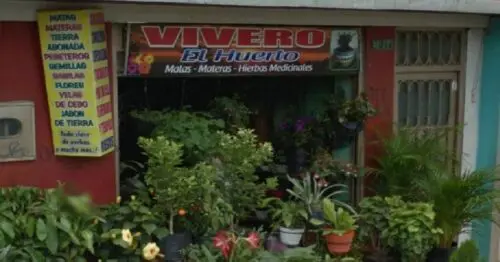 VIVERO EL HUERTO VIVERO EL HUERTO